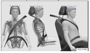 Volkswagen ID.3. Fig. 1 Correct safety belt positioning and correct head restraint adjustment (general example).